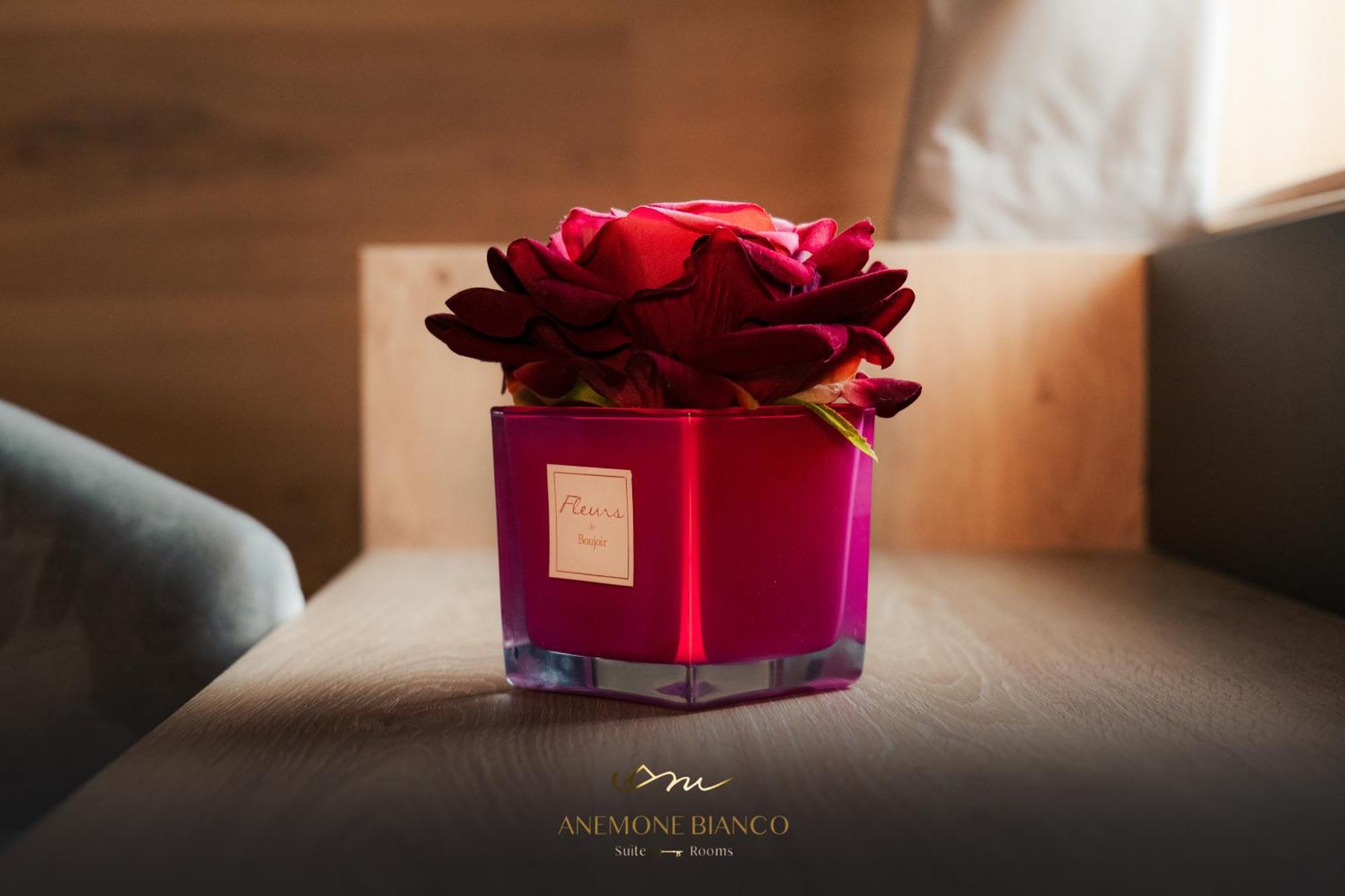 Anemone Bianco Suite Rooms Tonalepass Exterior foto